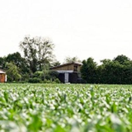 Demeterhof Duenninger Apartman Hofheim in Unterfranken Kültér fotó